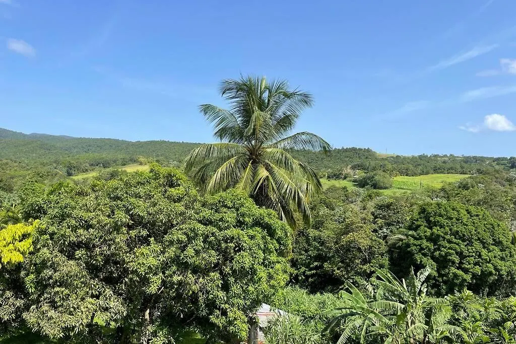 Domaine De Mailhe Et De La Cascade De Bis Apartment Sainte-Rose 0*,